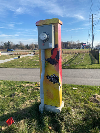 UTILITY BOX
