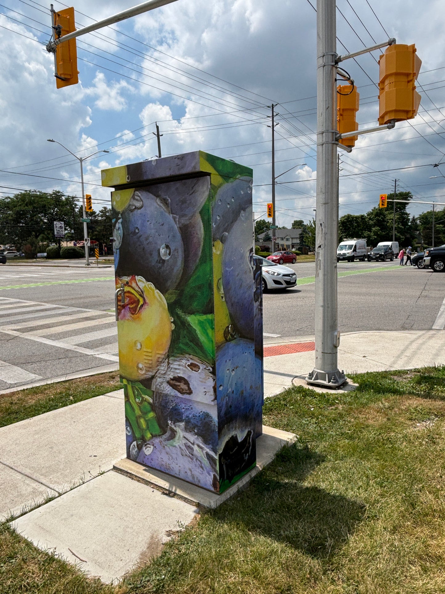 UTILITY BOX