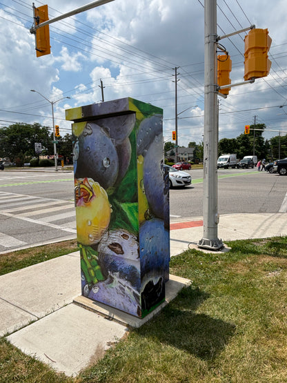 UTILITY BOX