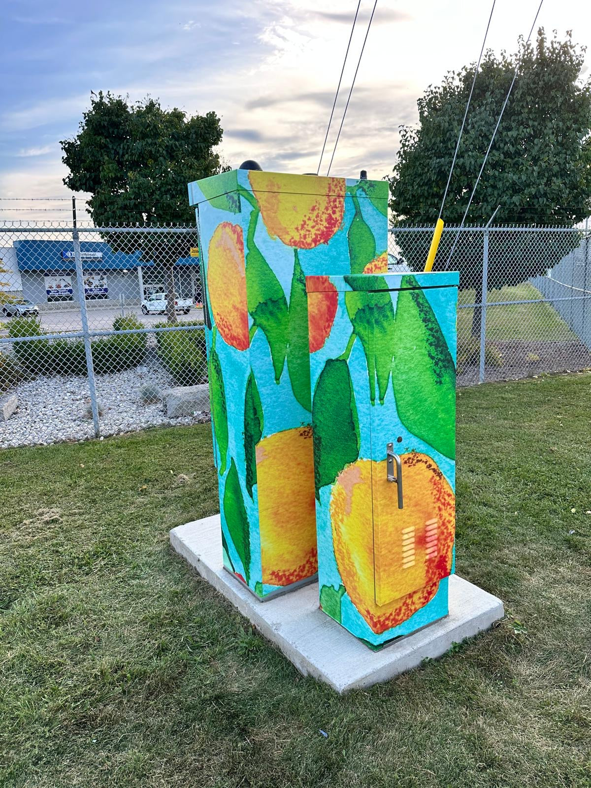 UTILITY BOX