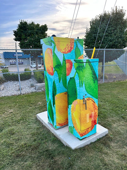 UTILITY BOX
