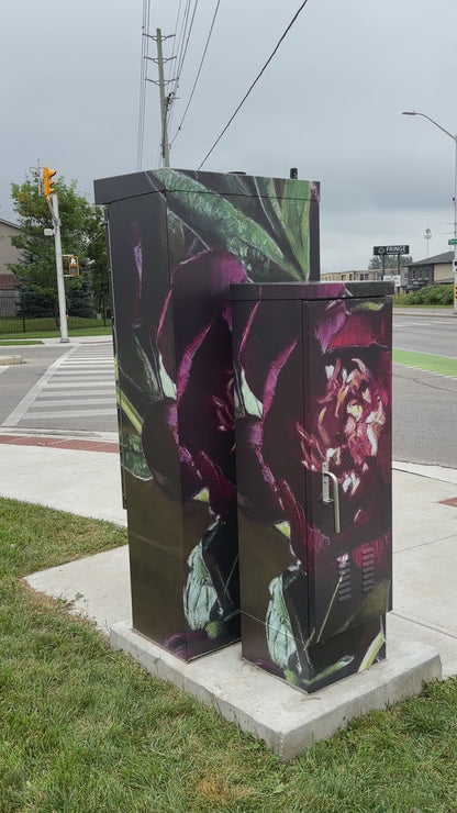 UTILITY BOX